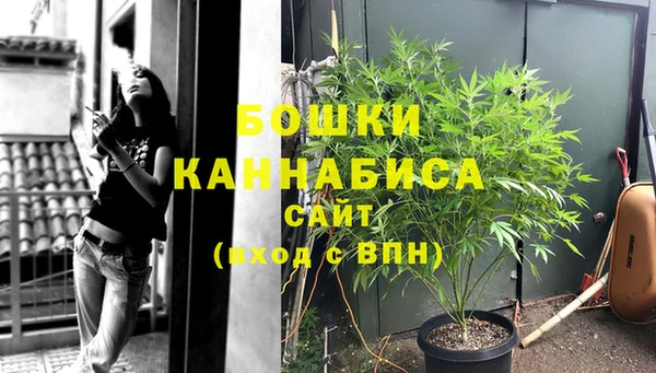 МДПВ Волоколамск